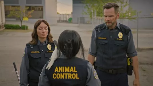 Image Animal Control 6