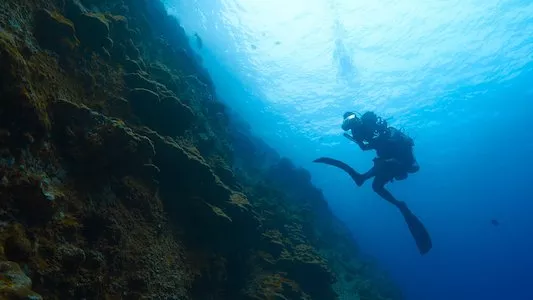 Image Epic Adventures with Bertie Gregory 4
