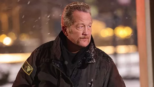 Image Chicago Fire 14