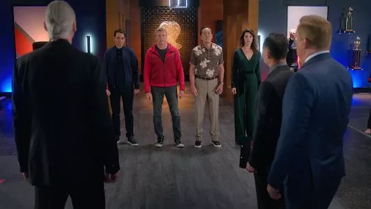 Image Cobra Kai 8