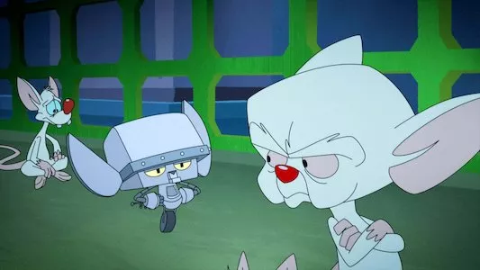 Image Animaniacs 12